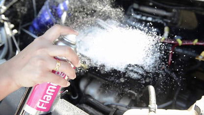 Flamingo Engine Degreaser - Engine Cleaner For Car & Bikes