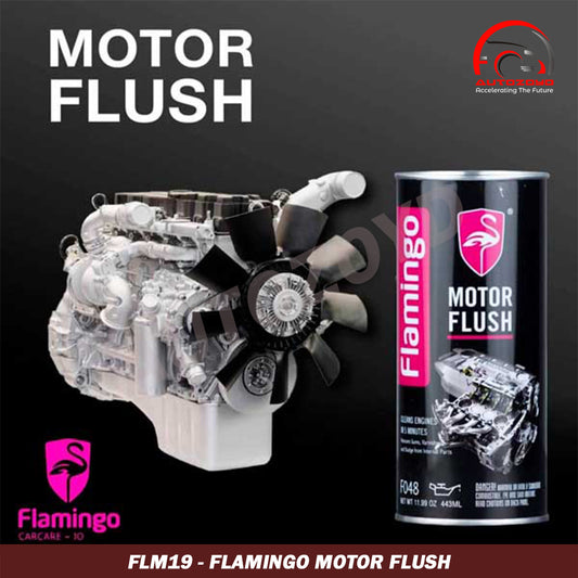 Flamingo Motor Flush